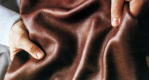 TEXTIL, LATEX, CUEROS Y CURTIDOS